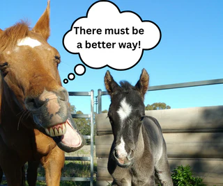 Foaling Redefined with Smart Technology