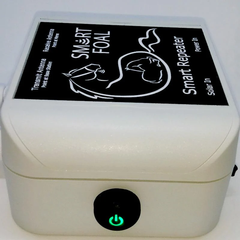 Repeater - Image 3