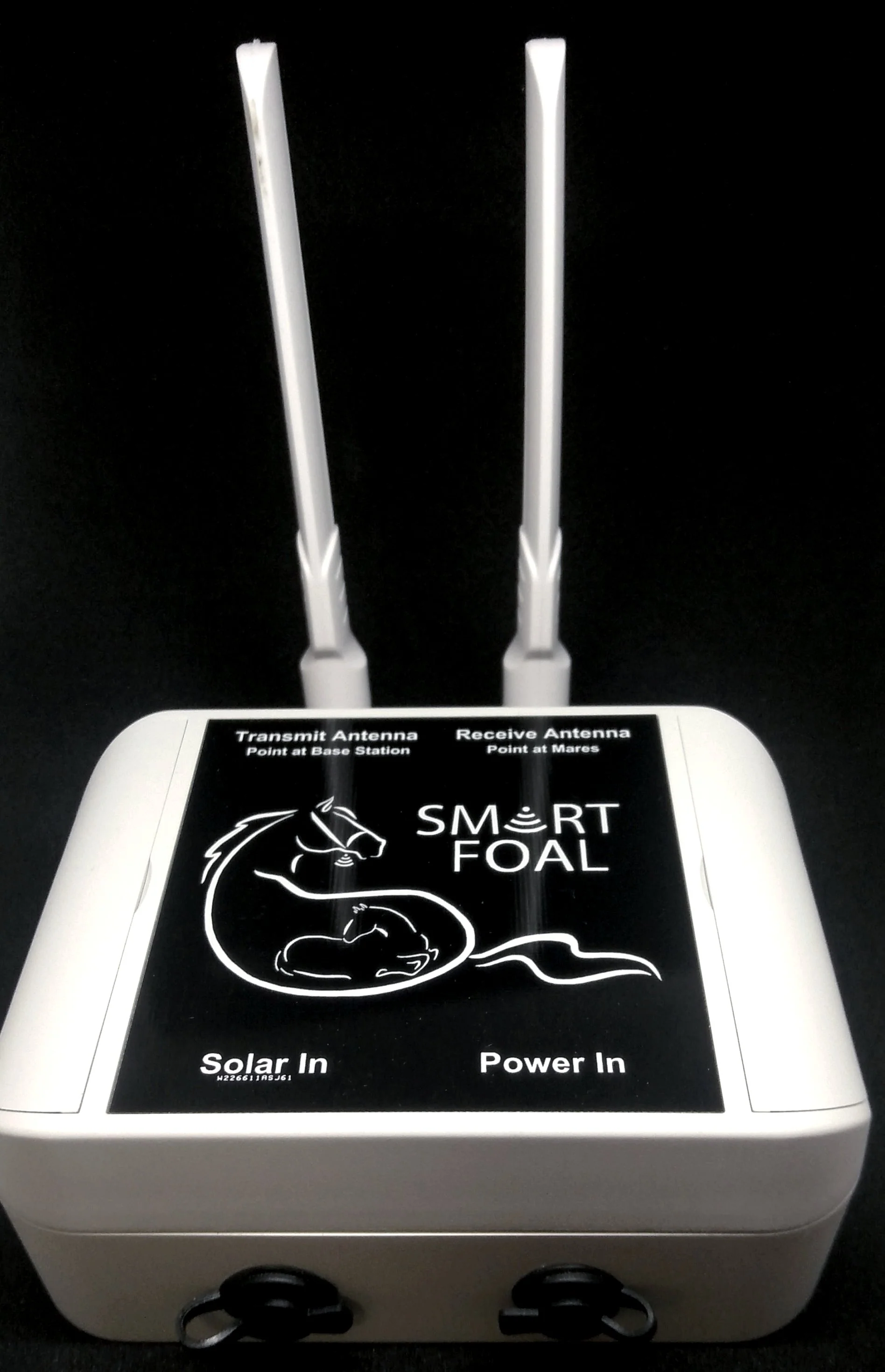 Repeater - Image 4