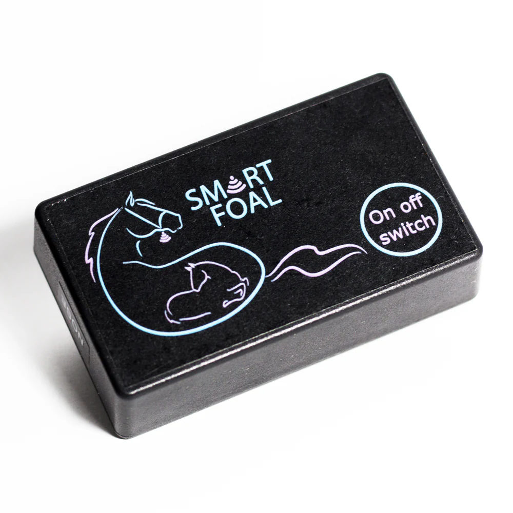 Smart Foal HOME - Image 6